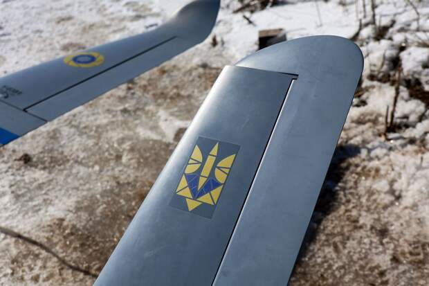 Таллин призвал Киев не допускать попадания украинских БПЛА в Эстонию