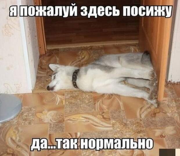 Всяко-разно...