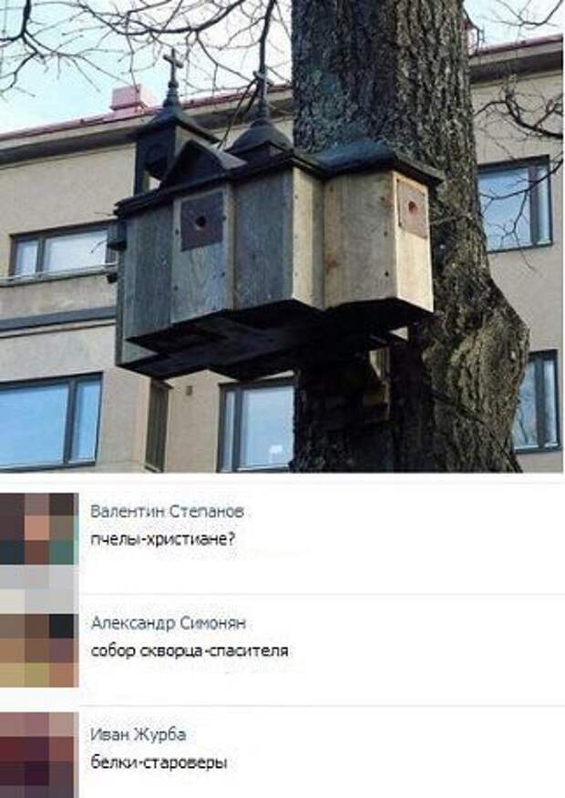 Зубодробительный юмор из социальных сетей