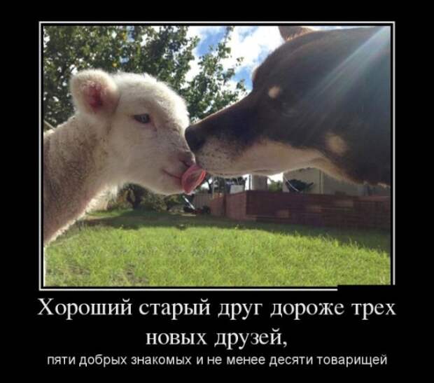www.vsyako.net