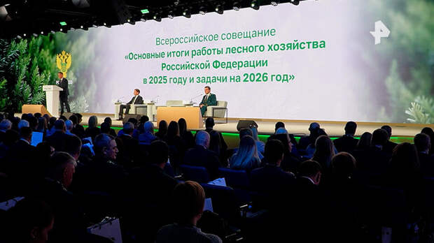 Патрушев: в 2025 году лесное хозяйство принесло в бюджет 90 млрд рублей