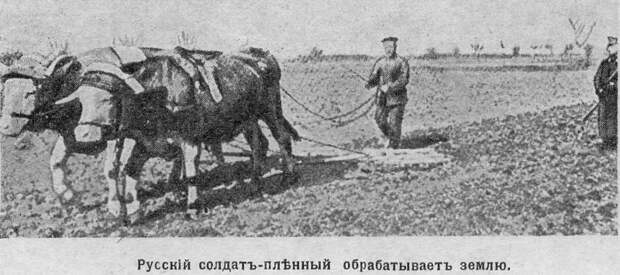 Военнопленные как потери и трофеи на Русском фронте Первой мировой