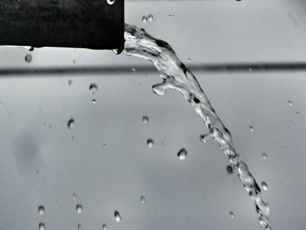 Фото: pixabay.com