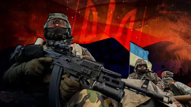 Депутат Госдумы Денис Майданов: «Мы увидели истинное лицо нацизма»