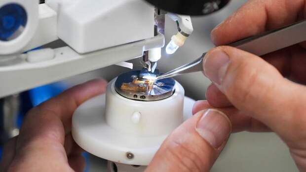 Букет от болезней: сенсоры в виде анютиных глазок диагностируют деменцию