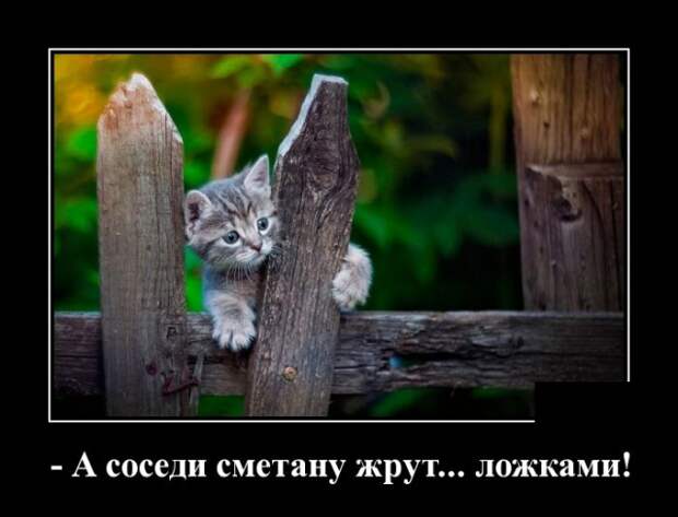 www.vsyako.net