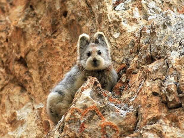 Лучшее от National Geographic (2)
