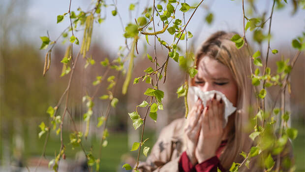 Аллергикам назвали способы облегчить период цветения