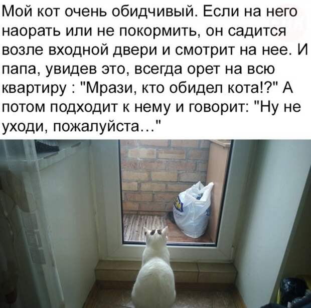 Юмористы из социальных сетей отжигают Юмористы из социальных сетей отжигают