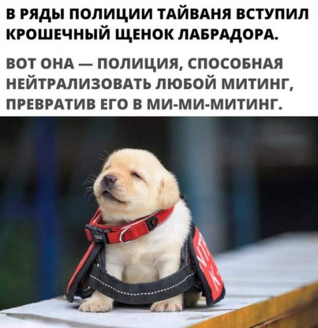 Прикольные фотомемы для всех (28 шт)