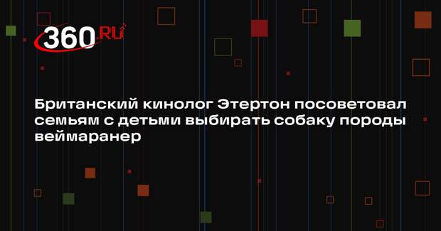 Британский кинолог Этертон посоветовал семьям с детьми выбирать собаку породы веймаранер