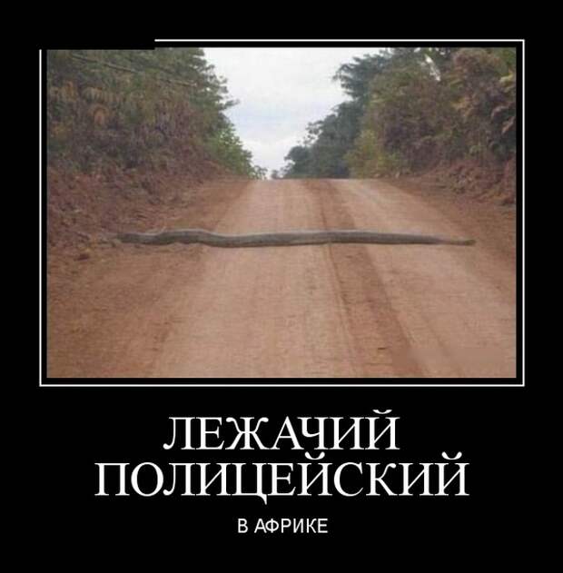 www.vsyako.net
