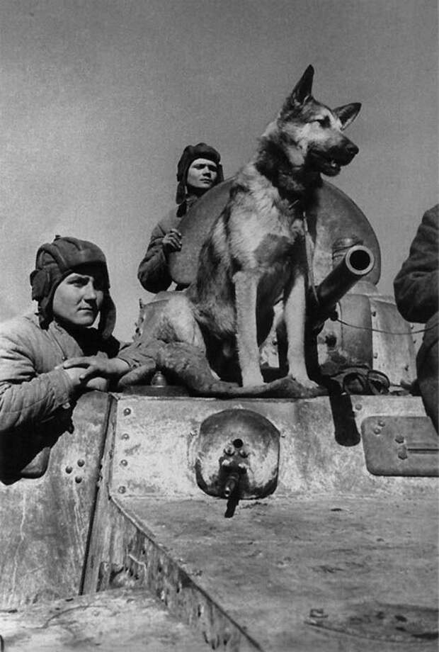 Незабытая победа (35 фотографий), photo:21