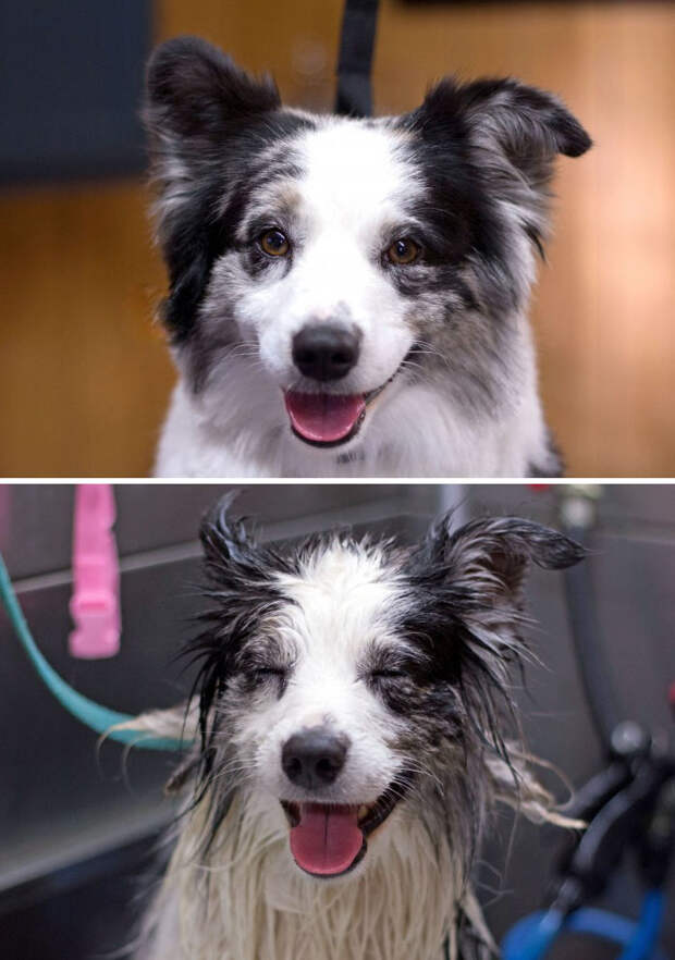 Before Vs. After Bath