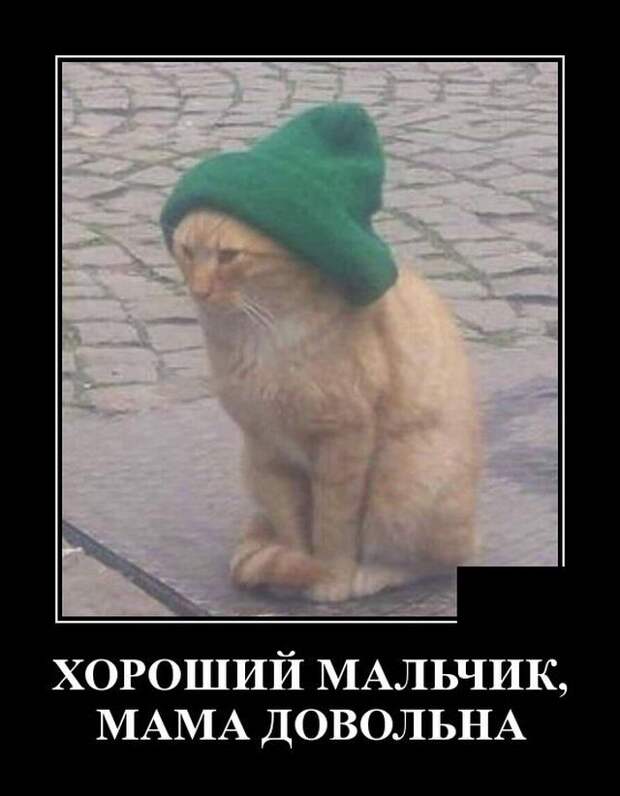 demotivatory-demotivator-smeshnye-demotivatory-demotivator-so-smyslom