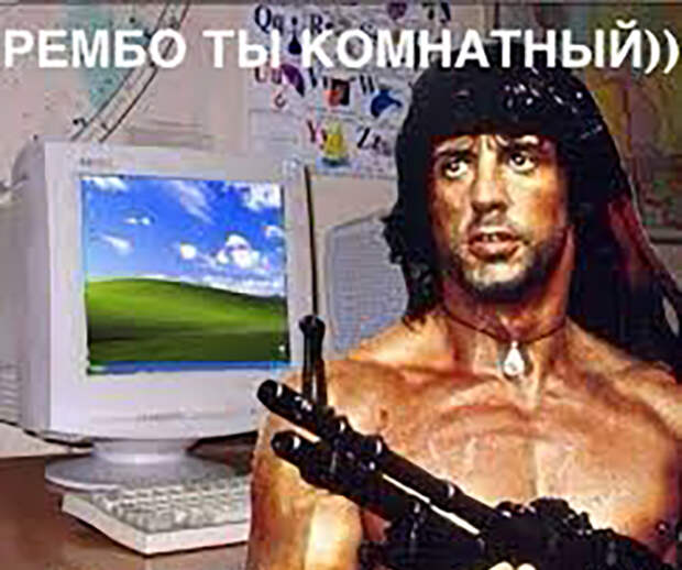 Рэмбо комнатный