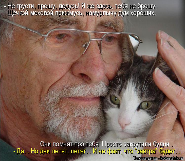 Котоматрица: Щёчкой меховой прижмусь, намурлычу дум хороших. - Да... Но дни летят, летят... И не факт, что "завтра" будет... Они помнят про тебя. Просто закрути