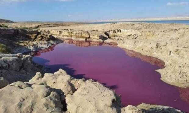 вода мертвого моря становится красной, вода мертвого моря становится красной иордания, вода мертвого моря становится красной на фотографиях, вода мертвого моря становится красной видео, вода мертвого моря становится красной сентябрь 2021 г.