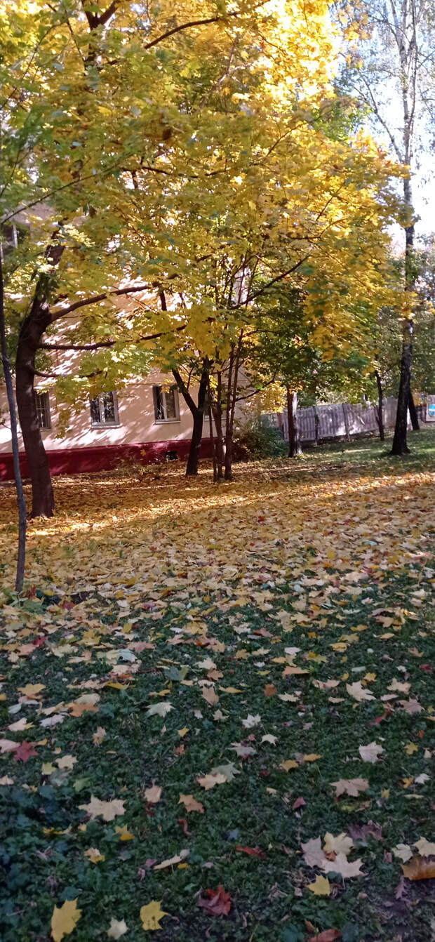 Осенняя Москва