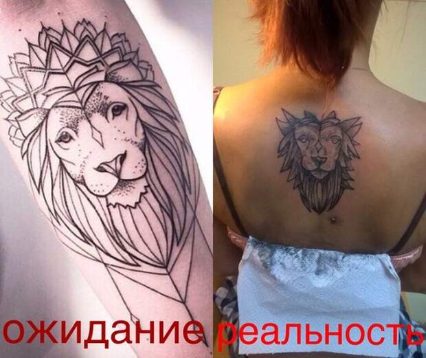Прикольные картинки. Вечерний выпуск (53 фото) Прикольные картинки. Вечерний выпуск (53 фото)