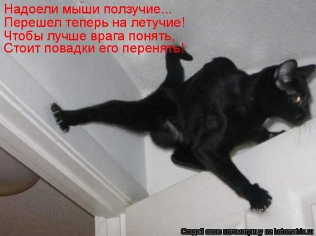 Мысли вслух :)