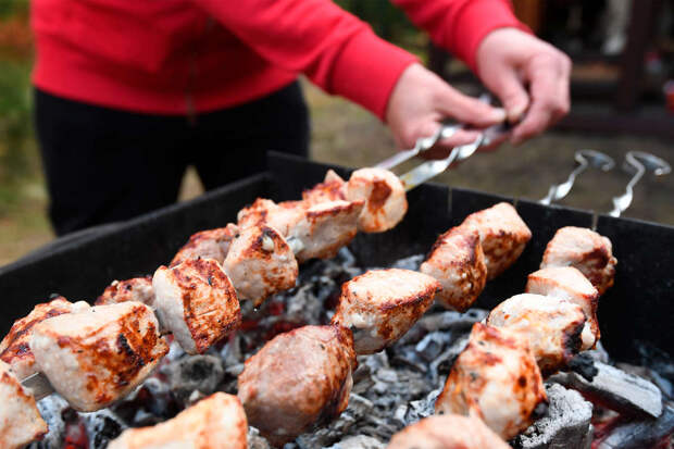ТАСС: жарка шашлыка может обернуться штрафом до 30 тысяч рублей