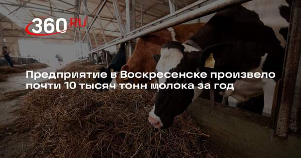 Предприятие в Воскресенске произвело почти 10 тысяч тонн молока за год