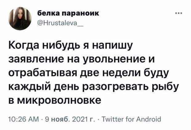 Месть сладка! Порция отборного юмора