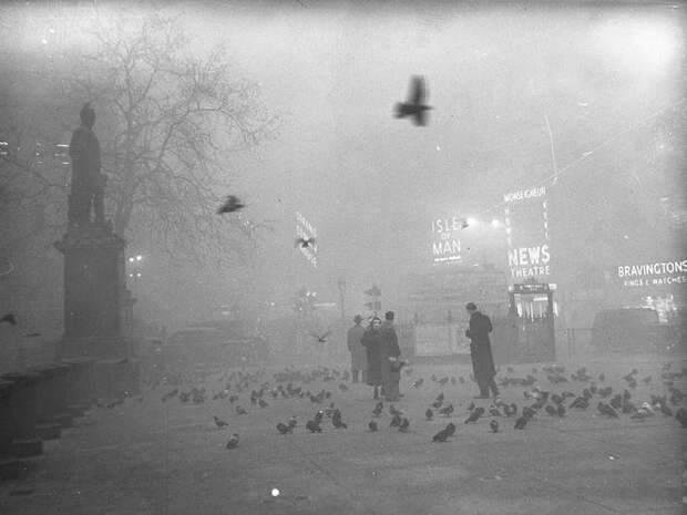 Туман, спустившийся на Лондон 5 декабря 1952, года убил 12 тысяч человек великобритания, лондон, трагедия, туман