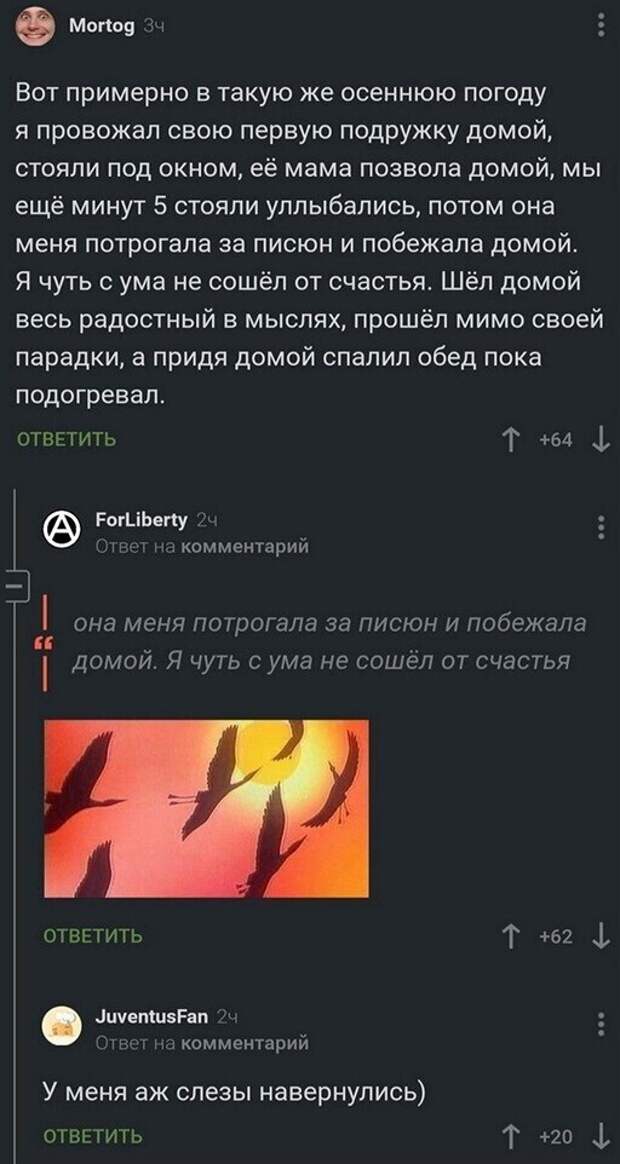 Подборка замечательных весёлых картинок
