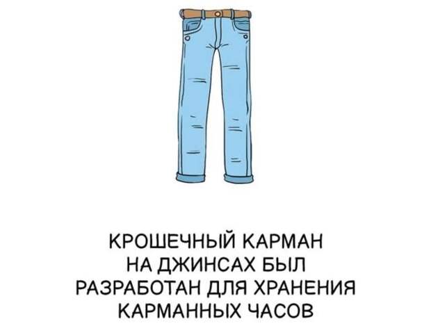 Интересные факты на все случаи жизни