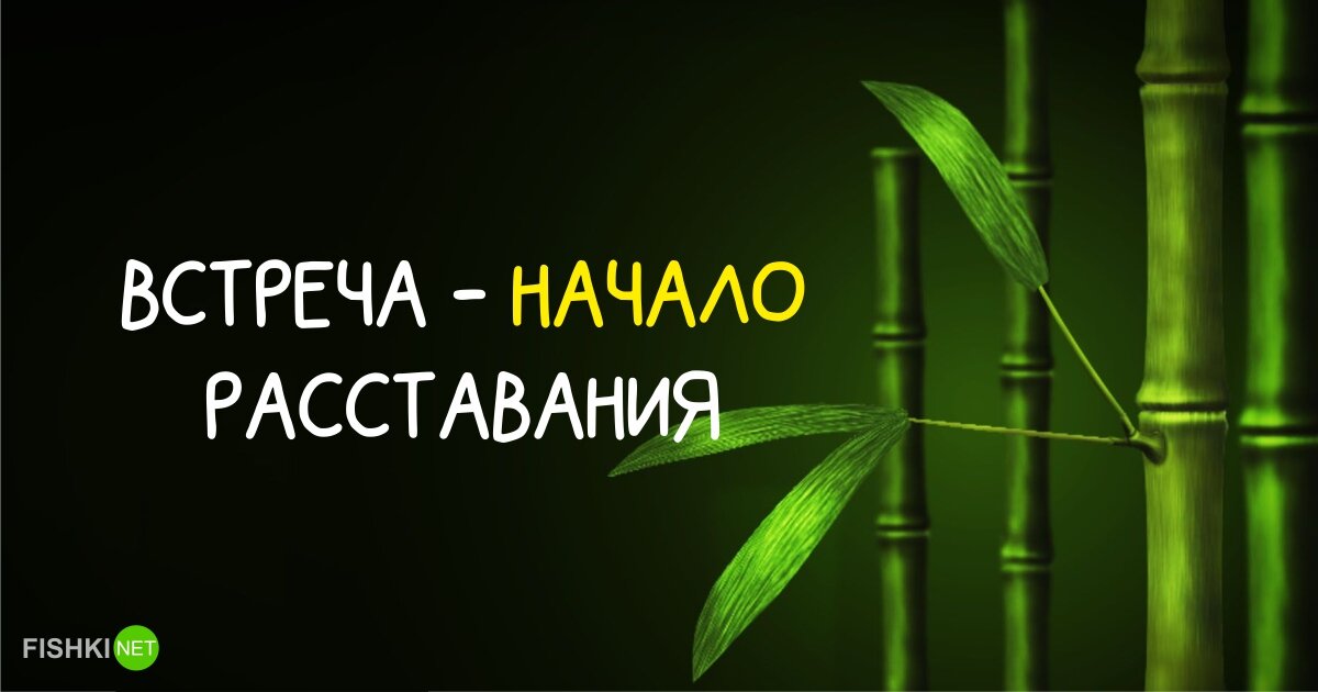 20 мудрых японских поговорок (продолжение)