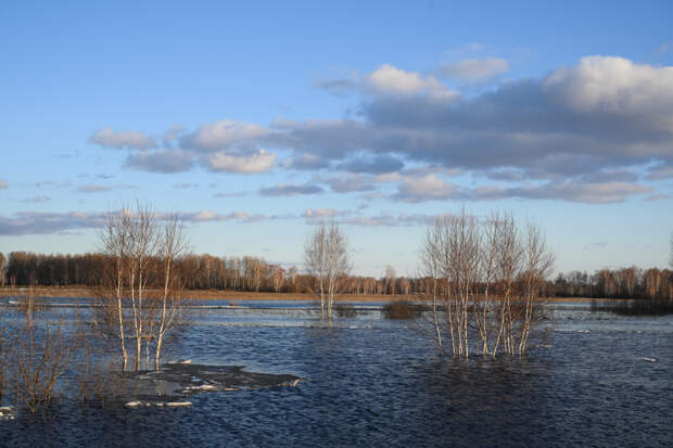 Раскрыты последствия паводков в российском регионе