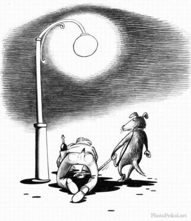 Карикатуры на среду