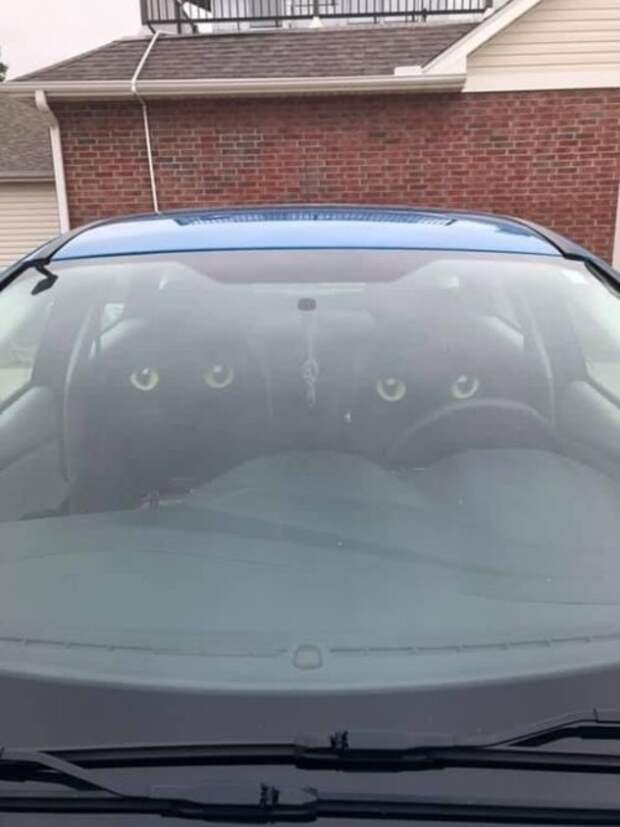 Прикольные картинки абавсём:D