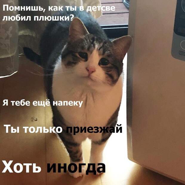 Ты только приезжай хоть иногда