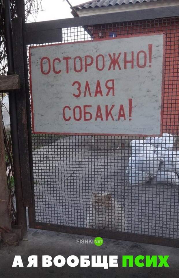 35 позитивных картинок, которые скрасят ваш рабочий день картинки, прикол, юмор