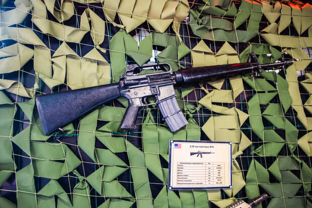 Сила в правде: Ржев стал завершающим городом уникальной передвижной экспозиции