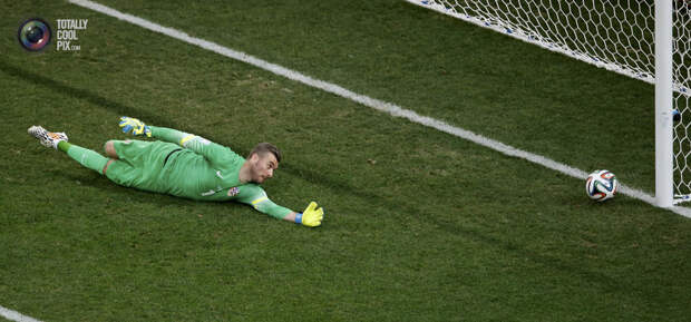 Чемпионат мира по футболу 2014