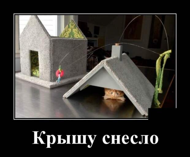 Демотиваторы (30 фото)