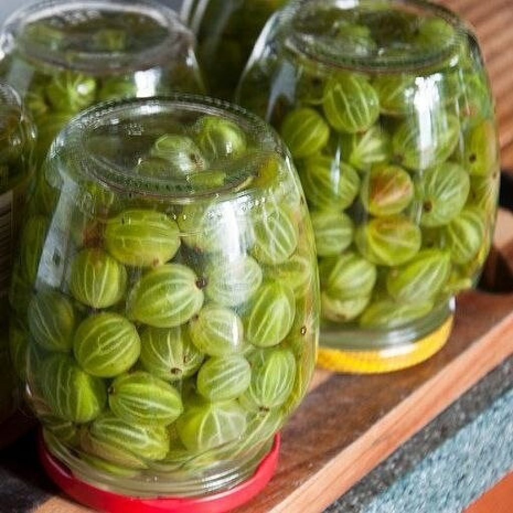 Маринованный крыжовник