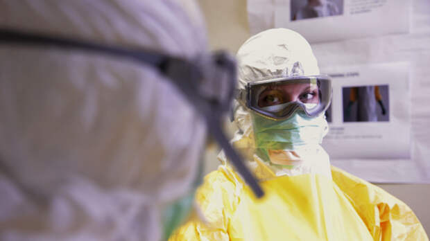 Медики выявили 9462 новых случая заболевания коронавирусом в России за сутки