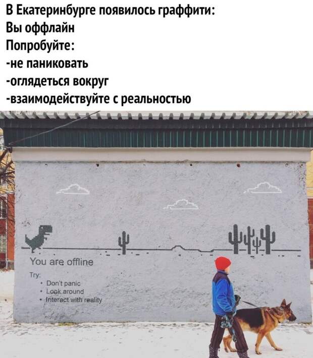 vlw8j3lnoge.jpg