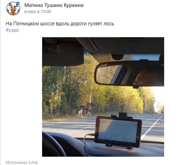 Скриншот паблика "Митино. Тушино. Куркино"" ВКонтакте