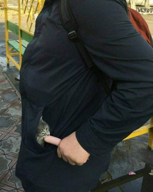 Потрясающие фотографии, которые мы не могли вам не показать