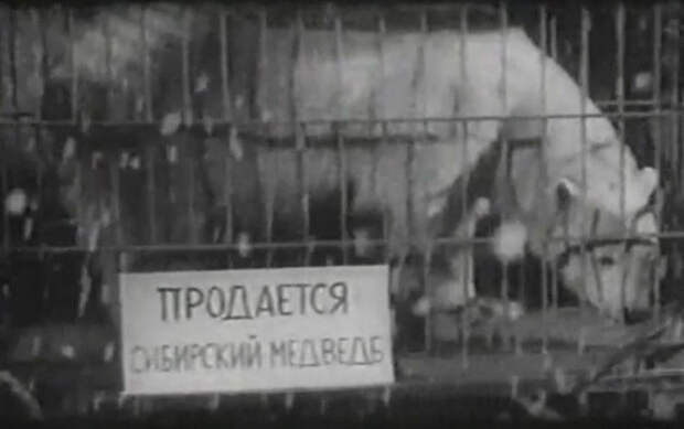 Невероятные приключения русского языка в американском кино Невероятные приключения русского языка в американском кино кино, ляп, прикол, фильм