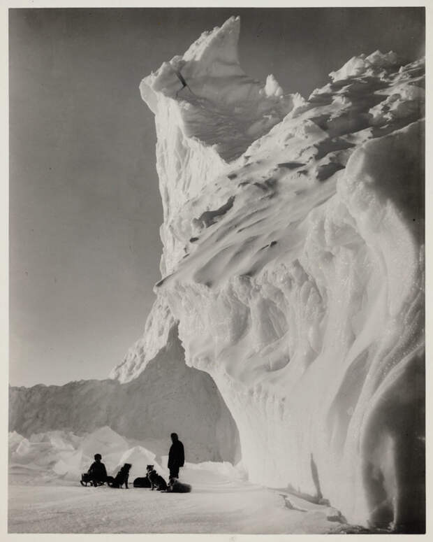 Ездовые собаки отдыхают у стены айсберга исследования, исторические фотографии, последний поход, экспедиция, южный полюс