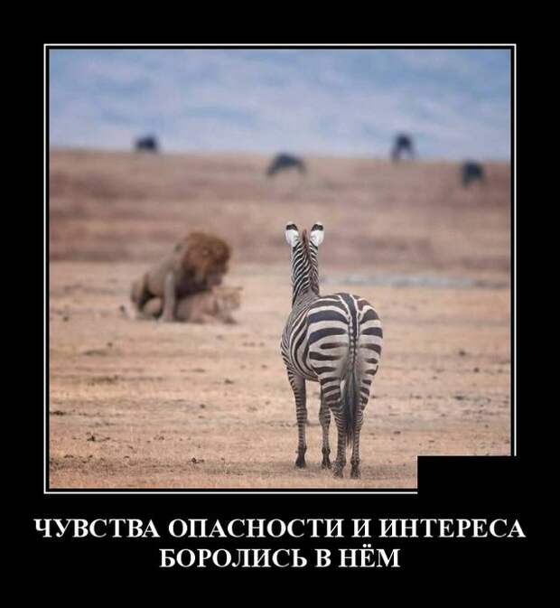 Демотиваторы (30 фото)