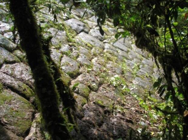 Затерянный город гигантов в джунглях Эквадора