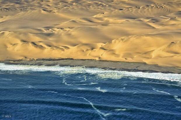 namib03 Там где пустыня встречается с водой